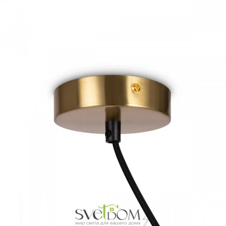 Подвесные светильники Freya FR5221PL-01BS от Магазина Svetdom.by