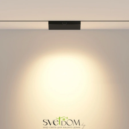 TR033-4-12WTW-DD-B Maytoni