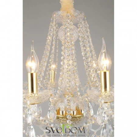 Люстры подвесныеAPL.755.13.08 Aployt | Svetdom.by