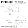 Люстры потолочныеCL102131 CITILUX | Svetdom.by