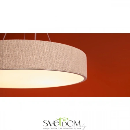 Подвесные светильники Freya FR5555PL-L30BGG от Магазина Svetdom.by