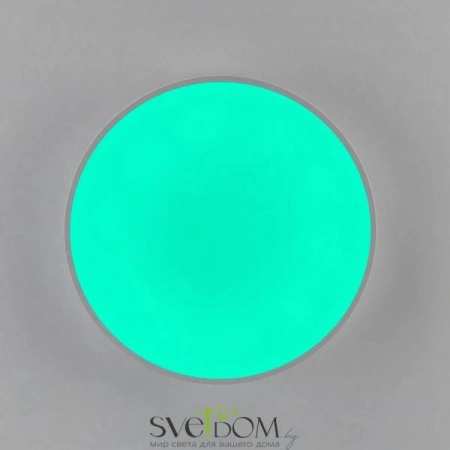 Потолочные светильники CITILUX CL72470G0 от Магазина Svetdom.by