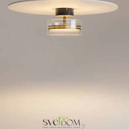 Потолочные светильники Maytoni MOD348CL-L18BBS3K от Магазина Svetdom.by