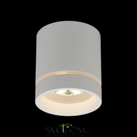 Накладные светильники Aployt APL.0043.09.05 от Магазина Svetdom.by