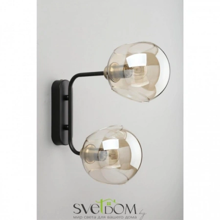 Настенные светильники OML-94201-02 Omnilux | Svetdom.by