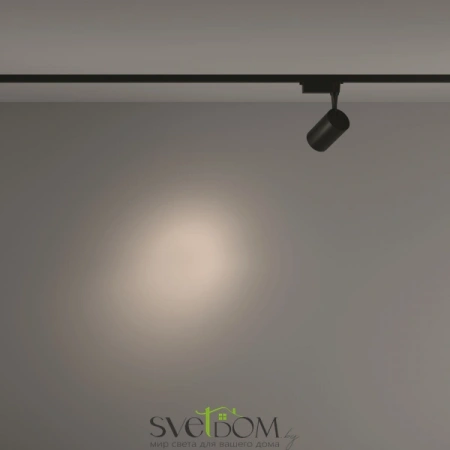 TR003-1-10W4K-S-B Maytoni