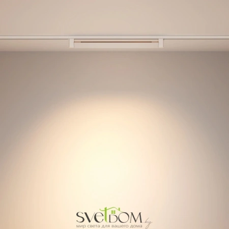 TR010-1-20W4K-M-W Maytoni