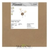 Настенный светильник (бра) Freya FR5571WL-02G Freya