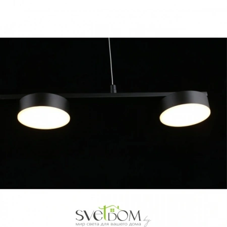 Люстры подвесныеAPL.047.03.35 Aployt | Svetdom.by