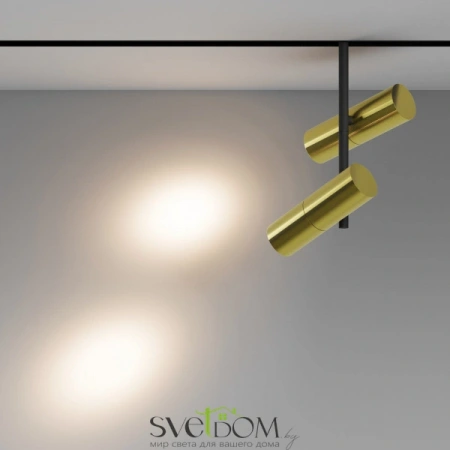 TR005-2-2X12W3K-BBS Maytoni