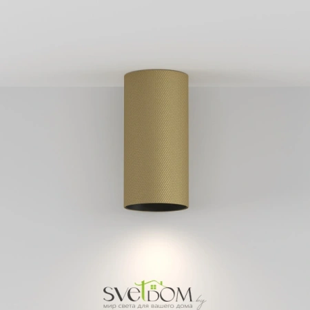 Потолочный светильник Technical C080CL-01-GU10-MG Maytoni