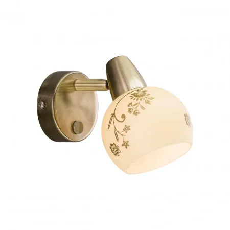 CL520513 CITILUX