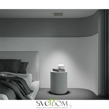 Потолочные светильники Maytoni C136CL-12W4K-W от Магазина Svetdom.by