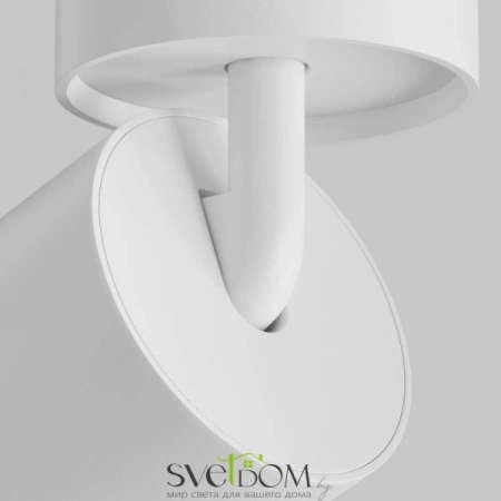 Потолочные светильники Maytoni C055CL-L20W2.7-3-4K-M-W от Магазина Svetdom.by