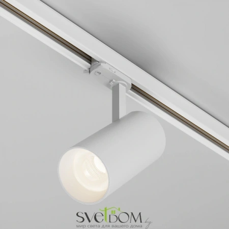 TR197-3-30WCCT-M-W Maytoni