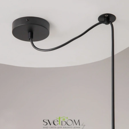 Подвесные светильники Maytoni T439-PL-01-GR от Магазина Svetdom.by