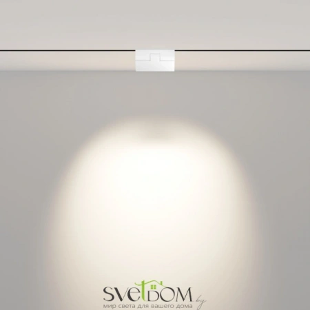 TR033-2-6W4K-W Maytoni