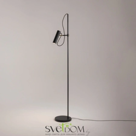 MOD129FL-01B Maytoni