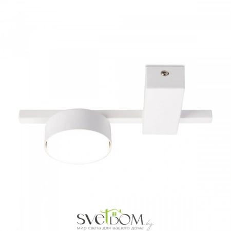Потолочные светильники Freya FR5363CL-01W от Магазина Svetdom.by