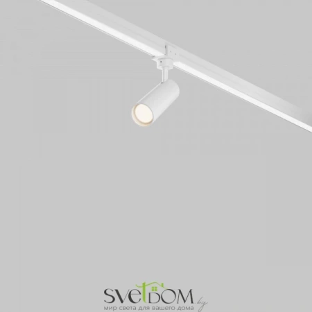 O-TR01-1-S-8WW3K Maytoni