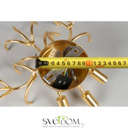 Настенные светильники APL.850.01.03 Aployt | Svetdom.by