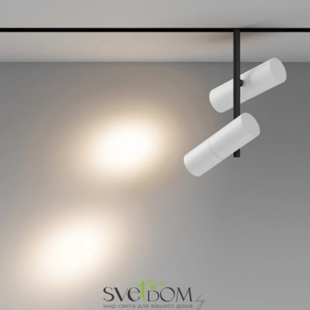 Трековый светильник Technical TR005-2-2X12W3K-BW Maytoni