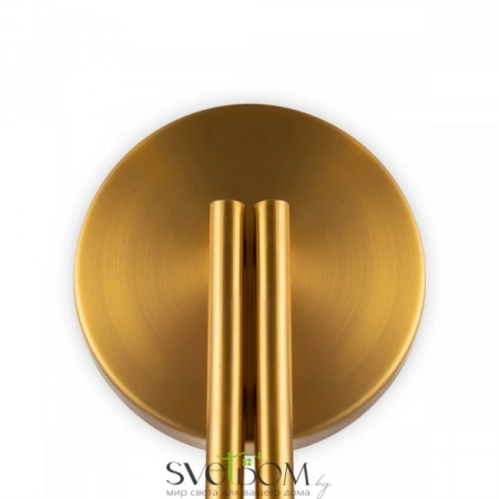 Настенные светильники FR5253WL-02BS Freya | Svetdom.by