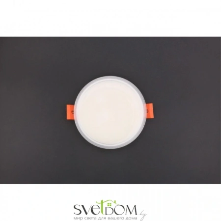 Накладные светильники Aployt APL.0066.09.12 от Магазина Svetdom.by