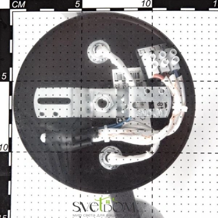 Люстры потолочныеCL156142 CITILUX | Svetdom.by