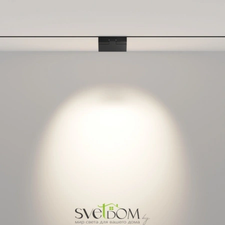 TR033-2-6W4K-B Maytoni