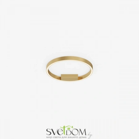 Потолочные светильники Maytoni MOD058CL-L25BSK от Магазина Svetdom.by