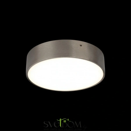 Настенно-потолочные светильники Aployt APL.0114.19.18 от Магазина Svetdom.by
