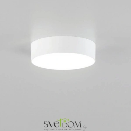 Накладные светильники CITILUX CL712120N от Магазина Svetdom.by