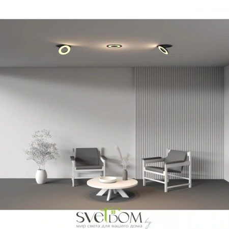 Встраиваемые светильники Maytoni DL102-12W2.7K-B от Магазина Svetdom.by