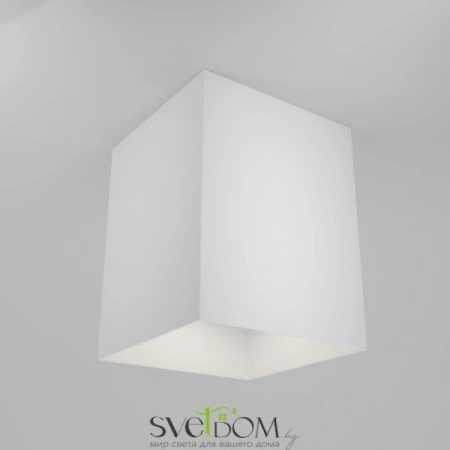 Потолочные светильники Maytoni C015CL-01W от Магазина Svetdom.by