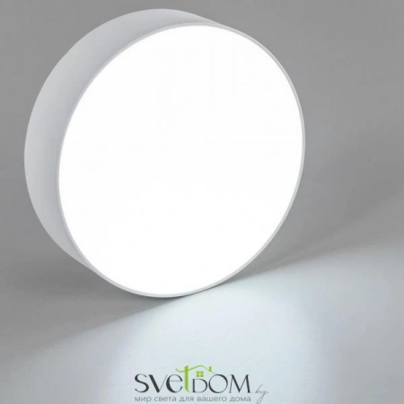 Накладные светильники CITILUX CL712120N от Магазина Svetdom.by