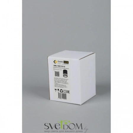 Накладные светильники Omnilux OML-100119-12 от Магазина Svetdom.by