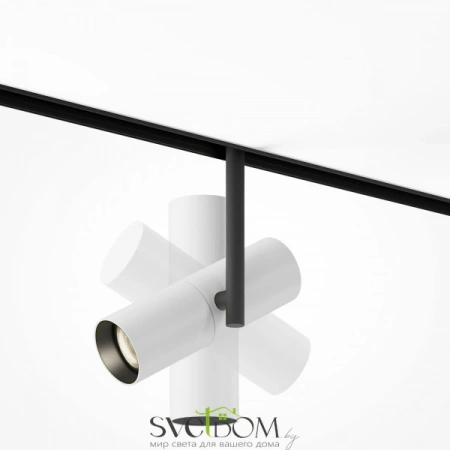 TR005-2-12W3K-BW Maytoni