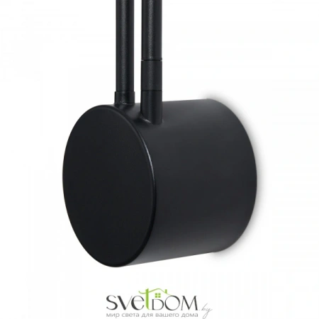 Настенные светильники FR5549WL-L7B Freya | Svetdom.by