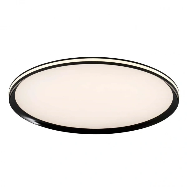 Потолочные светильники LED4U L3020-600 BK от Магазина Svetdom.by