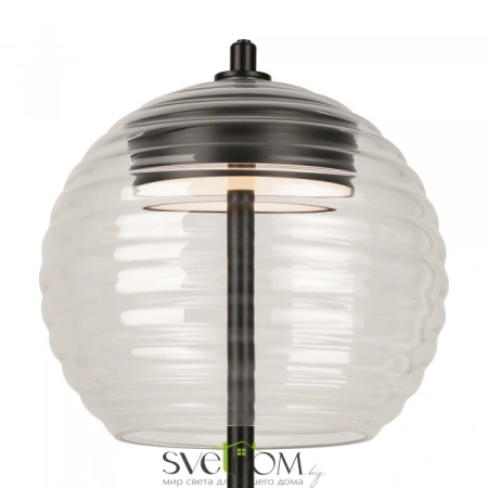 Настольный светильник Maytoni P060TL-L12BK Maytoni