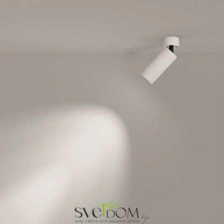 Потолочные светильники Maytoni C055CL-L12W4K-W-W от Магазина Svetdom.by