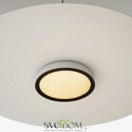 Подвесные светильники Maytoni MOD041PL-L15W3K1 от Магазина Svetdom.by