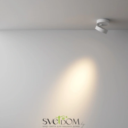 Потолочные светильники Maytoni C022CL-L7W от Магазина Svetdom.by