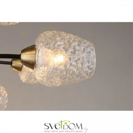 Люстры потолочныеOML-67807-08 Omnilux | Svetdom.by