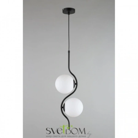 Подвесные светильники Aployt APL.312.06.02 от Магазина Svetdom.by