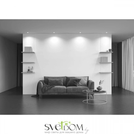 Фото Встраиваемые светильники Maytoni DL030-2-01W Встраиваемые светильники Maytoni DL030-2-01W от Магазина Svetdom.by