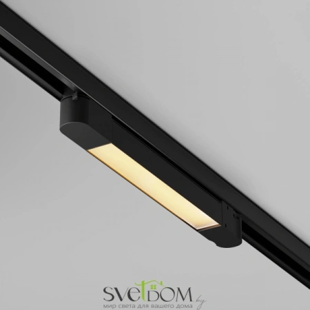 TR196-3-10W2.7K-B Maytoni