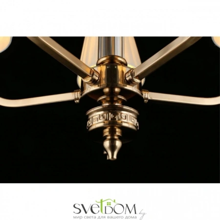 Люстры подвесныеAPL.716.13.05 Aployt | Svetdom.by