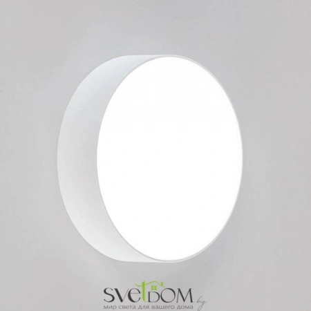 Накладные светильники CITILUX CL712120N от Магазина Svetdom.by